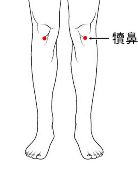 讀鼻穴|犢鼻穴位置 